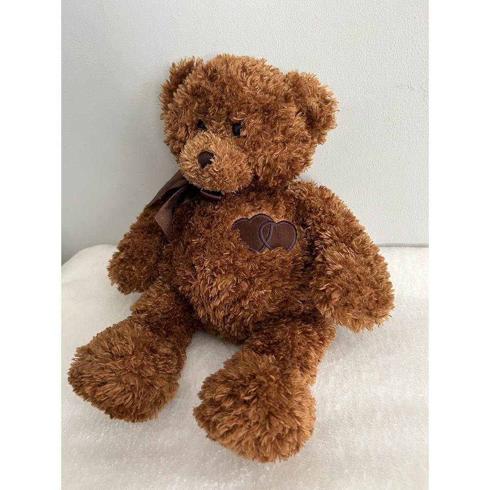 Gund Comfort Cub Brown Teddy Bear Hidden Heart lock Picture Memories Inside - Picture 2 of 9